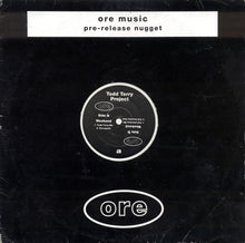Load image into Gallery viewer, The Todd Terry Project : Weekend (2x12")
