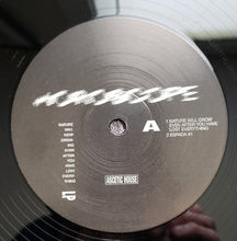 Load image into Gallery viewer, Horoscope : Nature Will Keep Growing Even After You Have Lost Everything (LP, Album)
