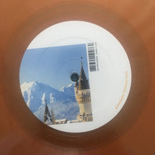 Load image into Gallery viewer, Pole : Steingarten Remixes 2 (12", Ltd, Ora)
