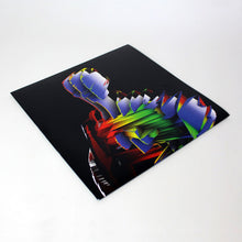 Load image into Gallery viewer, Visible Cloaks : Lex (12&quot;)
