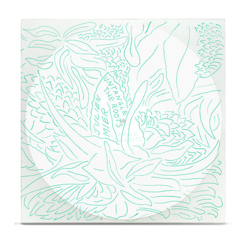 Julien Mier : Untangle The Roots (12