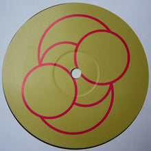 Load image into Gallery viewer, Children Of Planet Earth : You Are The Future (12&quot;)
