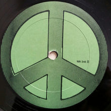 Load image into Gallery viewer, Unknown Artist : House Without A Home II (12")
