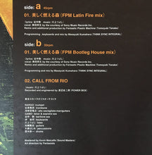 Load image into Gallery viewer, Tokyo Ska Paradise Orchestra : 美しく燃える森 (12")
