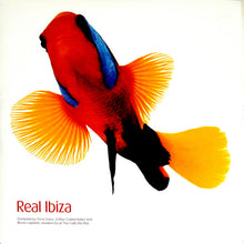 Load image into Gallery viewer, Various : Real Ibiza (4xLP, Comp)
