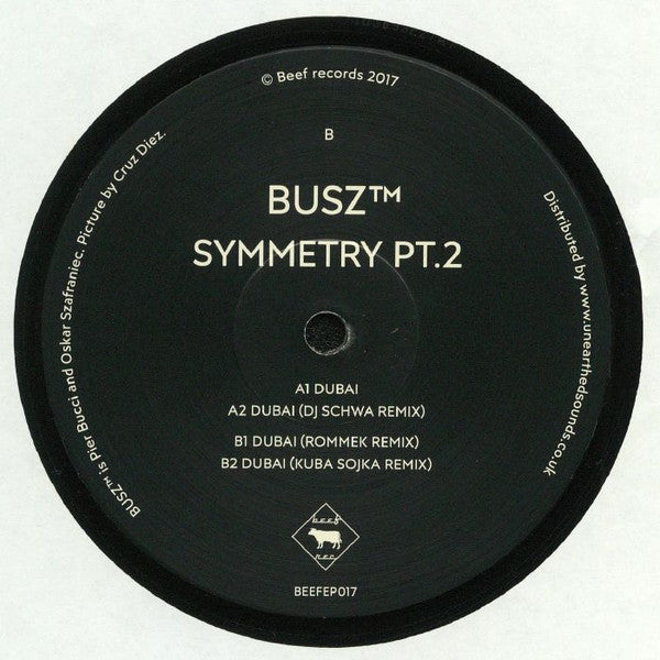 BUSZ™ : Symmetry Pt.2  (12