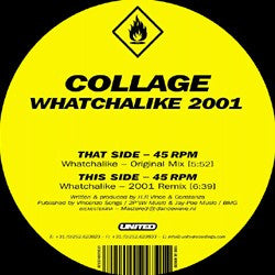 Collage : Whatchalike 2001 (12