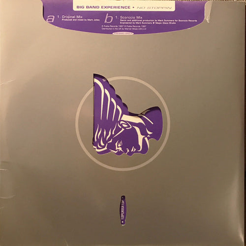Big Band Experience : No Stoppin (2x12