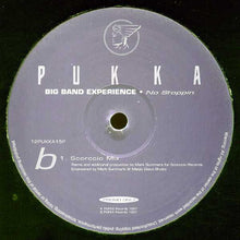 Load image into Gallery viewer, Big Band Experience : No Stoppin (2x12&quot;, Promo)

