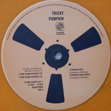 Load image into Gallery viewer, Tricky : Pumpkin (12", Ora)
