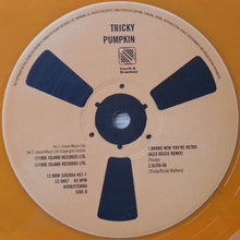 Load image into Gallery viewer, Tricky : Pumpkin (12", Ora)
