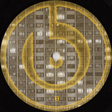 Load image into Gallery viewer, David Duriez Presents Virtual Funker : House And Blend EP (12&quot;, EP)
