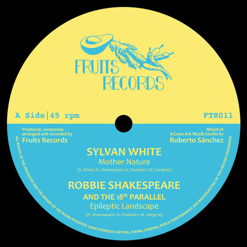 Sylvan White, Robbie Shakespeare, Earth Warrior, Delroy Melody : Magnetic Buzz Riddim (12