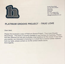 Load image into Gallery viewer, Platinum Groove Project : True Love (12&quot;)
