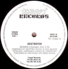 Load image into Gallery viewer, Destroyer : Senses (12")
