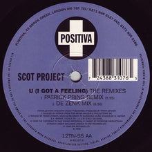 Load image into Gallery viewer, DJ Scot Project : U (I Got A Feeling) (12")
