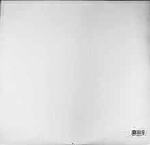 Load image into Gallery viewer, Orbital : Are We Here? (2x12")
