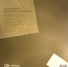 Load image into Gallery viewer, Prosumer &amp; Murat Tepeli Feat. Elif Biçer : Turn Around (12")
