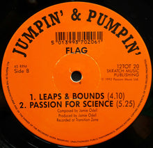 Load image into Gallery viewer, Flag : Four Tracker (12", EP)
