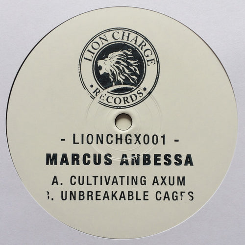 Marcus Anbessa : Cultivating Axum / Unbreakable Cages (10