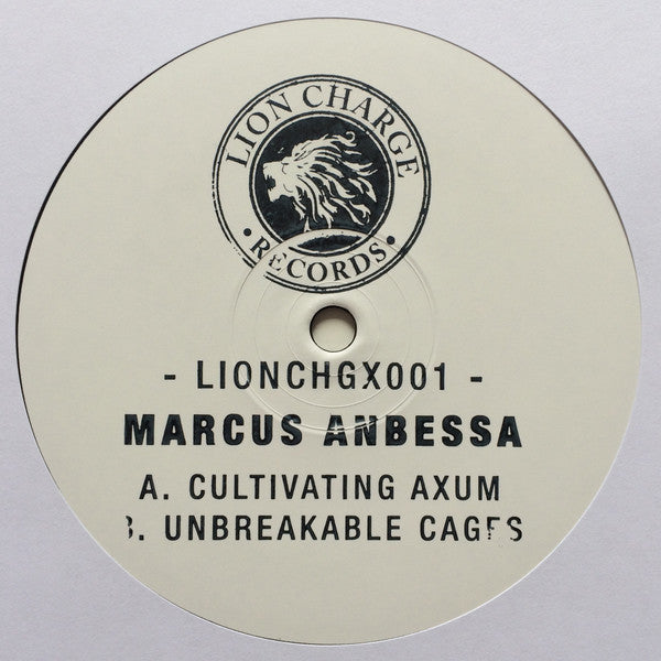 Marcus Anbessa : Cultivating Axum / Unbreakable Cages (10