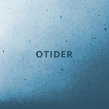 Load image into Gallery viewer, SSTROM : Otider (2x12", Album)
