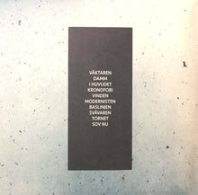 Load image into Gallery viewer, SSTROM : Otider (2x12", Album)
