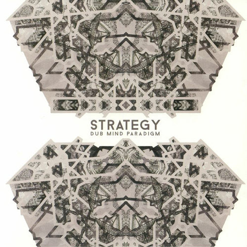 Strategy (3) : Dub Mind Paradigm (LP, Ltd)
