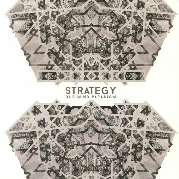 Strategy (3) : Dub Mind Paradigm (LP, Ltd)