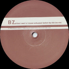 Load image into Gallery viewer, BZ* : All That I Need (12&quot;, Ltd, Promo)
