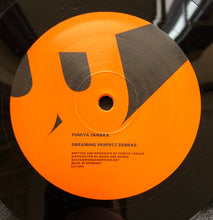 Load image into Gallery viewer, Fumiya Tanaka : AB (12")
