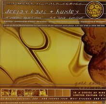 Load image into Gallery viewer, Deejay Kaos* / DJ Kaos + DJ Huxley : Oceans Apart (Remix) / Lose Control (12")
