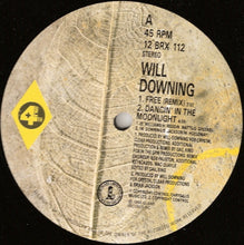 Load image into Gallery viewer, Will Downing : Free (The &#39;Freemix&#39; E.P.) (12&quot;, EP)
