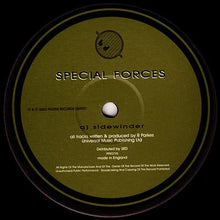 Load image into Gallery viewer, Special Forces : Sidewinder / The End (Remix) (12&quot;)
