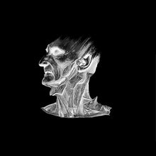 Load image into Gallery viewer, Stigmata : Stigmata 10/10 (2x12")
