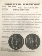 Load image into Gallery viewer, Freezie Freekie : Data Sink (12")
