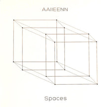 Load image into Gallery viewer, AAIIEENN : Spaces (12&quot;, Album)
