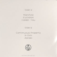 Load image into Gallery viewer, AAIIEENN : Spaces (12&quot;, Album)
