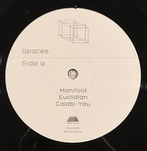 Load image into Gallery viewer, AAIIEENN : Spaces (12&quot;, Album)
