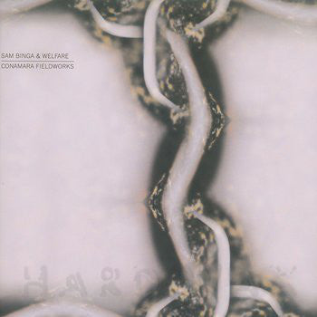 Sam Binga & Welfare (5) : Conamara Fieldworks (12