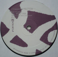 Load image into Gallery viewer, Common Factor : Expanded EP (12", EP)
