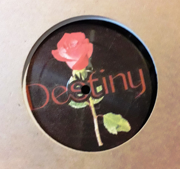 Michel De Hey : Destiny  (12