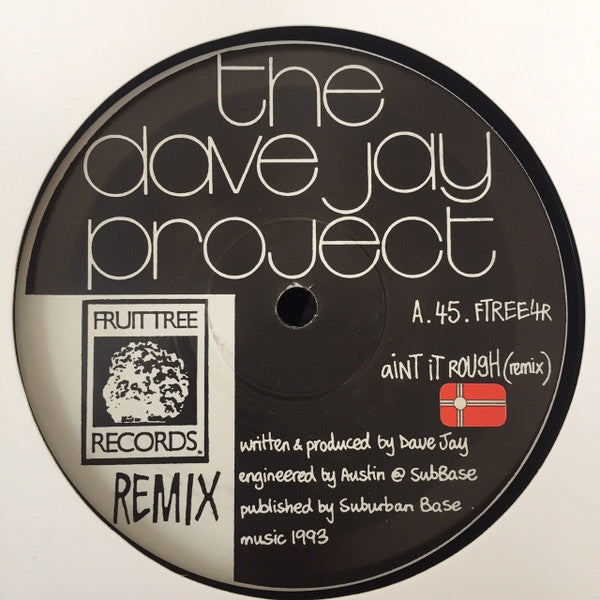 The Dave Jay Project : Ain't It Rough (12