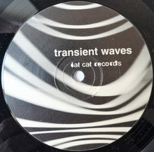Load image into Gallery viewer, Transient Waves : Born With A Body And Fucked In The Head (12")
