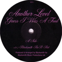 Load image into Gallery viewer, Another Level : Guess I Was A Fool (12&quot;)
