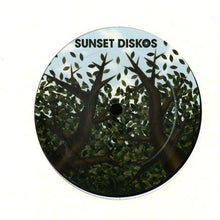 Load image into Gallery viewer, Agaric (2) : The Dark Holds The Sun (12")
