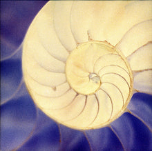 Load image into Gallery viewer, System 7 : System 7 (2xLP, Album, Ltd)
