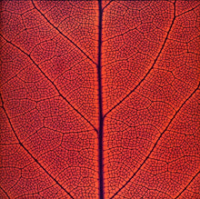 Load image into Gallery viewer, System 7 : System 7 (2xLP, Album, Ltd)
