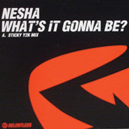 Nesha : What's It Gonna Be? (12