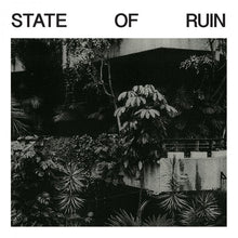 Load image into Gallery viewer, Silk Road Assassins : State Of Ruin (2x12&quot;, Album)
